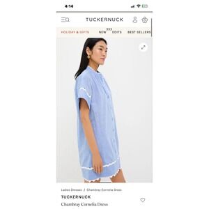 $228 NEW! Tuckernuck Chambray Cornelia Dress Small STILL ON WEBSITE!